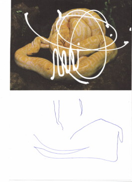 TATJANA ELIF GLOWINSKI